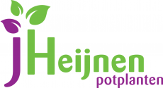 J. Heijnen potplanten